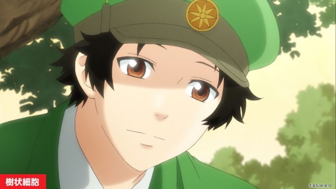 みどり細胞