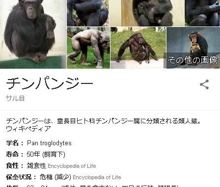 ちんぱんじー